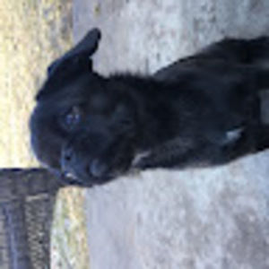 Meet your Posher, Cullen